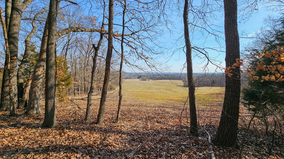 205 Hemsath Rd, Augusta, MO for sale - Building Photo - Image 3 of 8