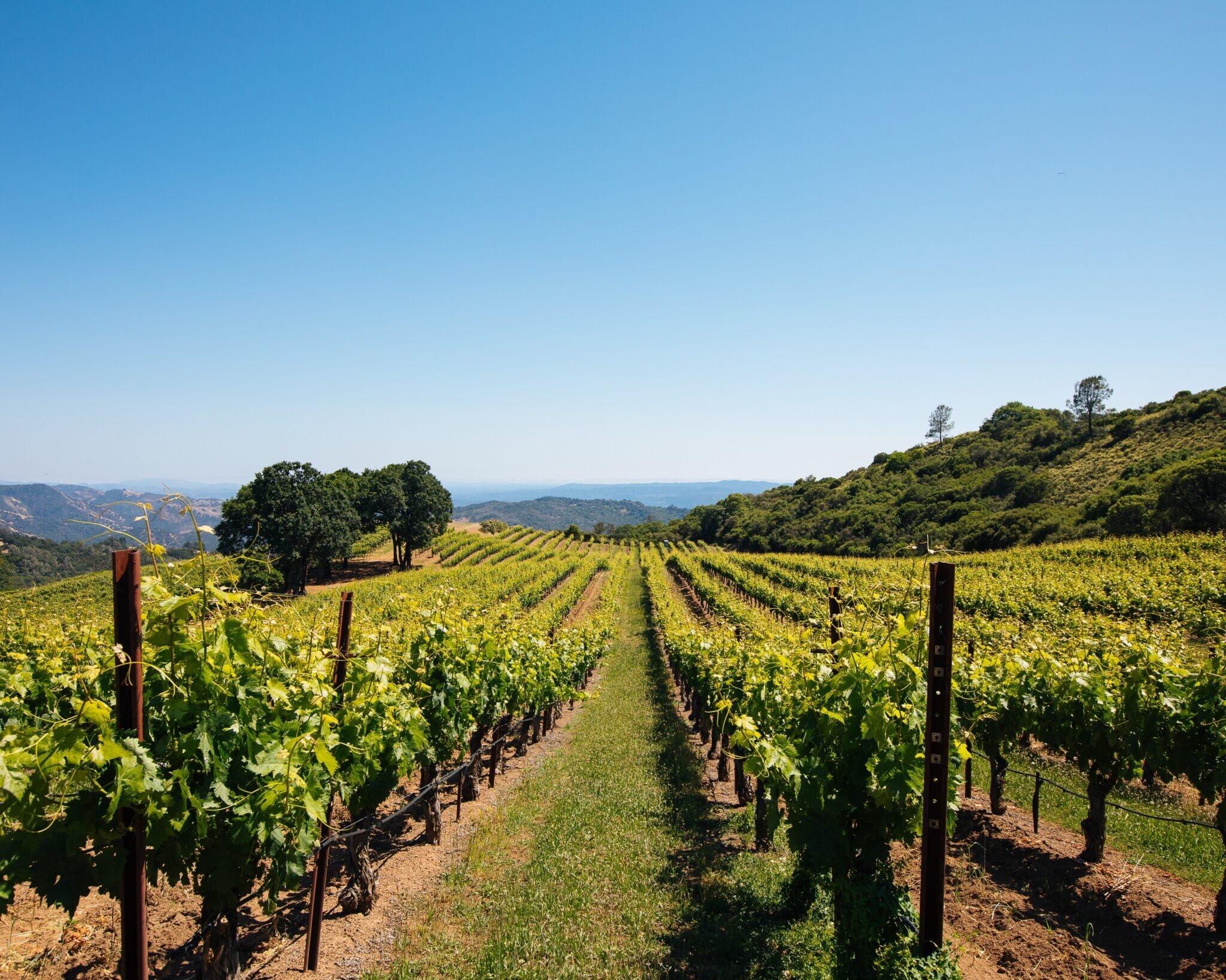 14335 Sonoma Highway 12, Glen Ellen, CA for sale Primary Photo- Image 1 of 13