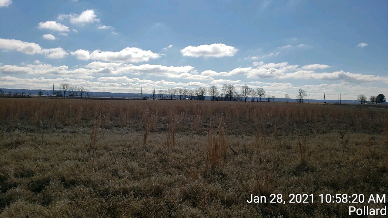 74 County Road 325, Pollard, AR for sale Primary Photo- Image 1 of 10