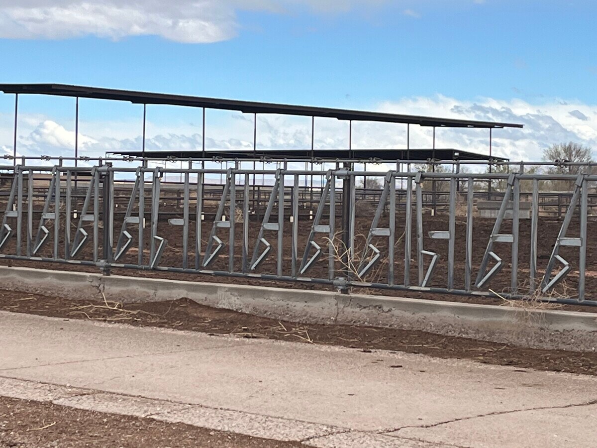 40 Miller Dairy Rd, Veguita, NM 87062 Livestock Farm