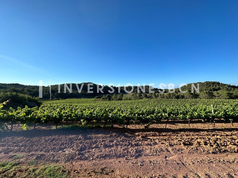 Land in Vimbodí i Poblet, Tarragona for sale - Other - Image 2 of 8