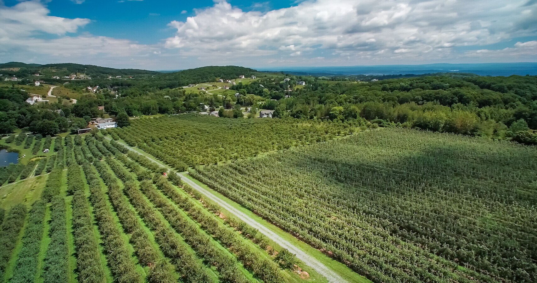 335 Bingham Rd, Marlboro, NY 12542 335 Bingham Road Marlboro, NY