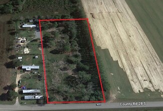 More details for 15372 County Road 28 S, Foley, AL - Land for Sale