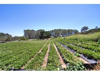 1920 S El Camino Real, Encinitas, CA for sale Primary Photo- Image 1 of 1