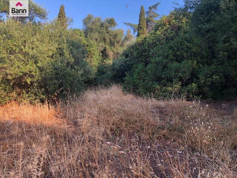 Land in Córdoba for sale - Building Photo - Image 2 of 5