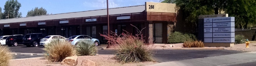 288/264 N Ironwood Dr, Apache Junction, AZ for lease - Building Photo - Image 1 of 4