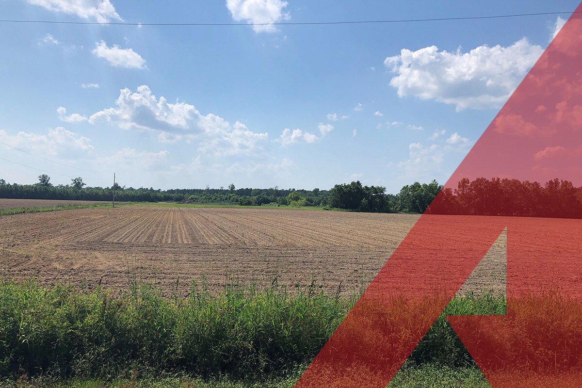 0 McMillan Rd, Greeleyville, SC for sale Building Photo- Image 1 of 1