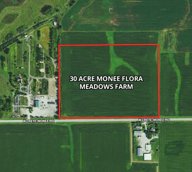 Monee, Monee, IL for sale - Building Photo - Image 1 of 1