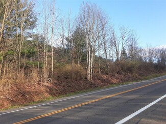 More details for 2025-2029 State Route 26, Vestal, NY - Land for Sale