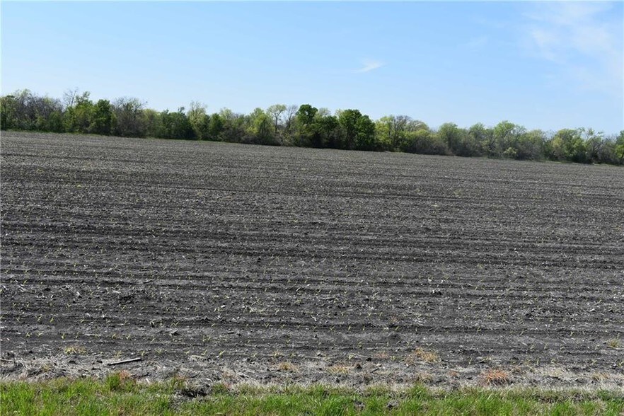 Fm 545, Josephine, TX 75442