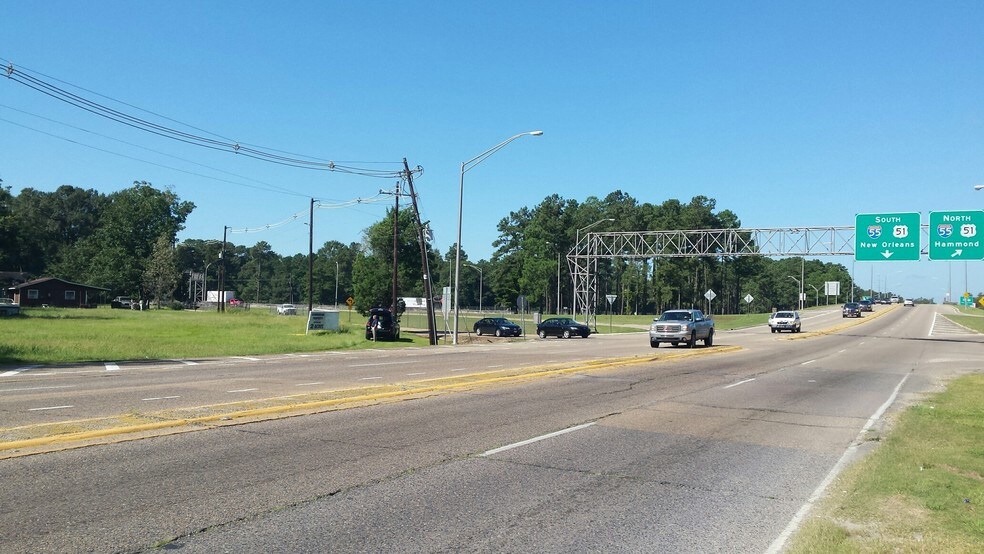175 SE Service Rd, Ponchatoula, LA for sale - Primary Photo - Image 1 of 1