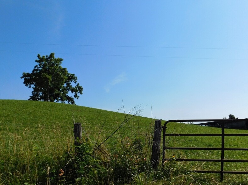 Chapman Rd, LaFollette, TN for sale - Other - Image 2 of 8