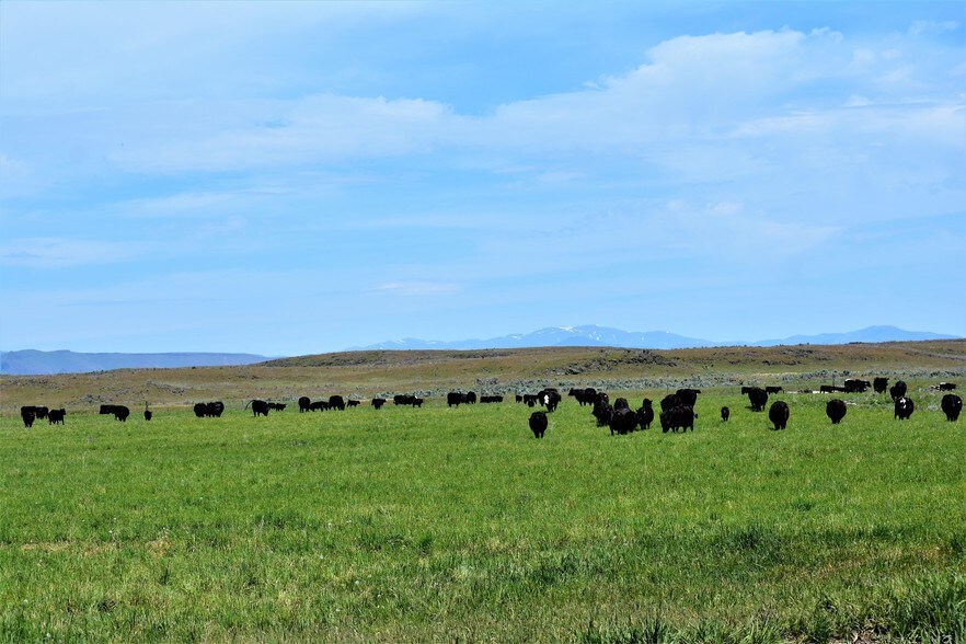 1243 E 1520 N, Richfield, ID for sale - Building Photo - Image 1 of 1