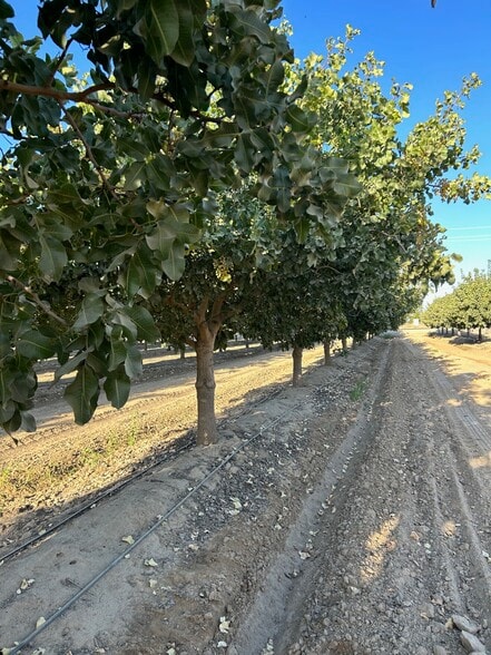 10431 S Bethel Ave, Selma, CA for sale - Primary Photo - Image 1 of 27