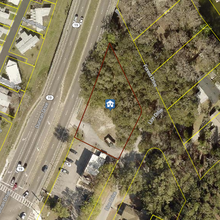 Lion Ln, Tavares, FL - aerial  map view - Image1