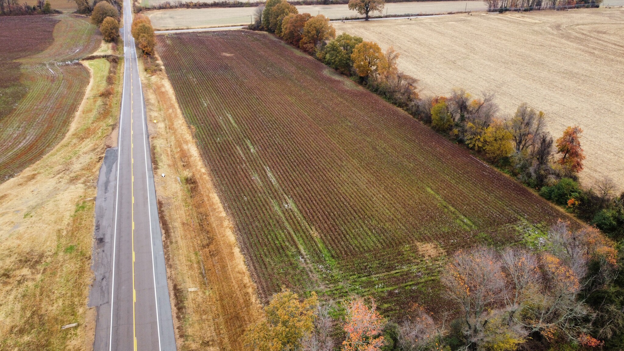 0 TN222 Hwy, Stanton, TN 38069 Blue Oval City