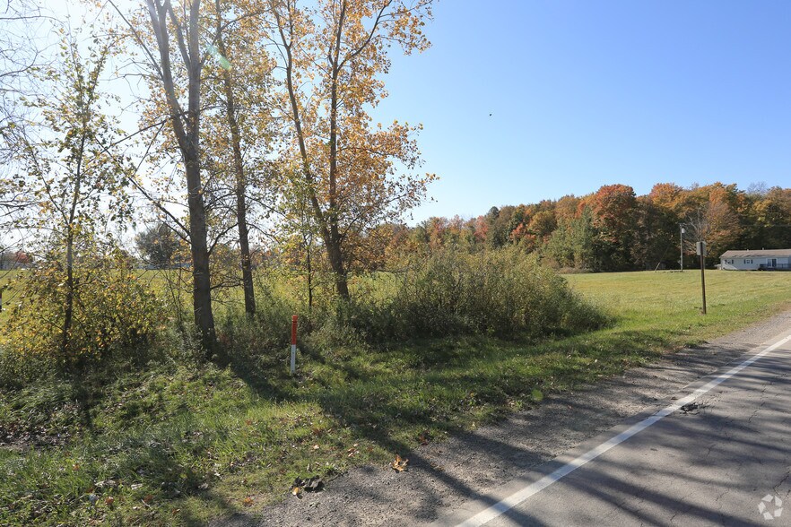 Newark Rd, Imlay City, MI 48444