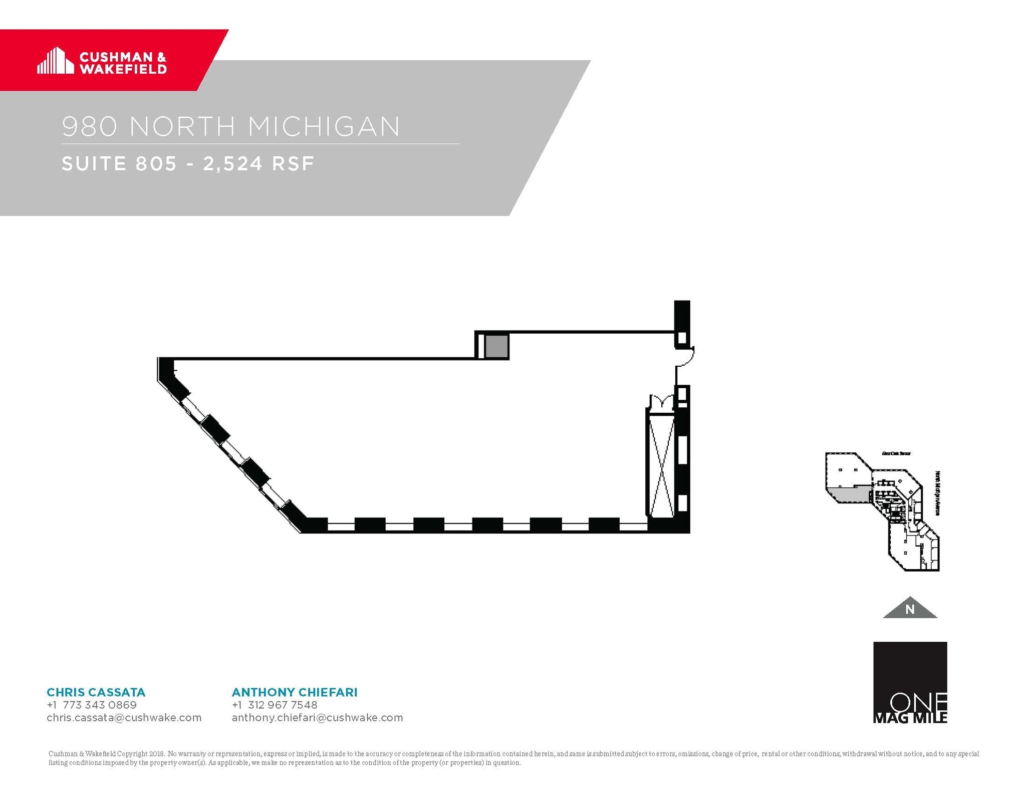 980 N Michigan Ave, Chicago, IL for lease Floor Plan- Image 1 of 1