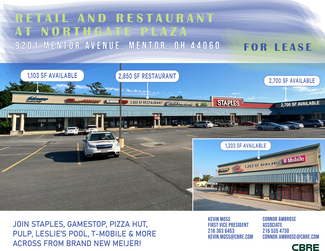 More details for 9201-9223 Mentor Ave, Mentor, OH - Office/Retail, Retail for Lease