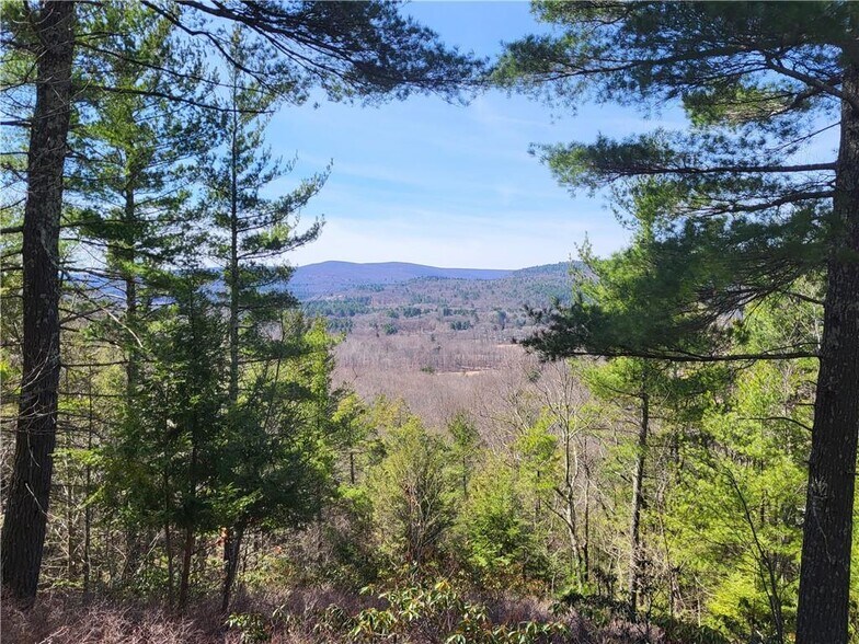 8 Henry Rd, Cragsmoor, NY for sale - Building Photo - Image 3 of 24