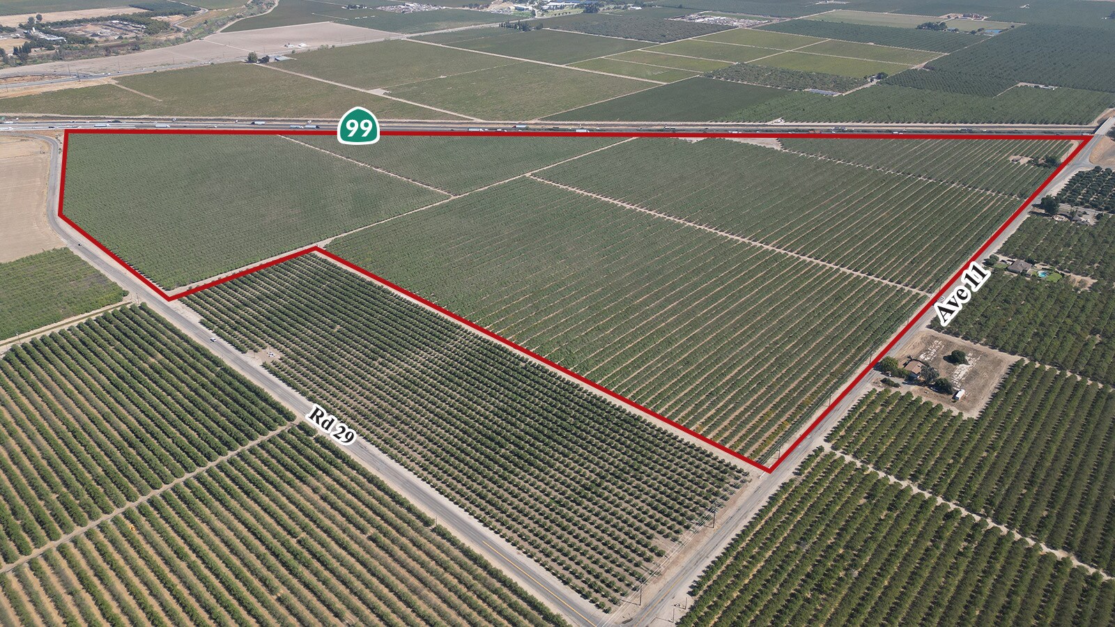 Road 29, Madera, CA for sale Primary Photo- Image 1 of 5