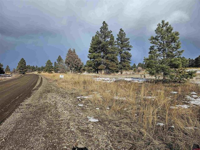 335 Domicile cir, Pagosa Springs, CO for sale - Primary Photo - Image 1 of 4