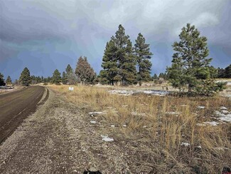 More details for 335 Domicile cir, Pagosa Springs, CO - Land for Sale