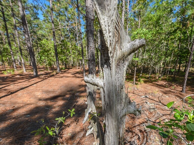 224 Foxfire Rd, Aberdeen, NC for sale - Building Photo - Image 2 of 11