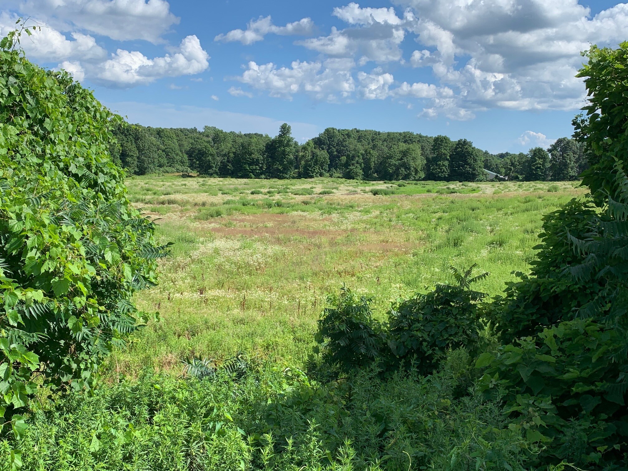Jackson Hill Rd, Middlefield, CT for sale Building Photo- Image 1 of 1