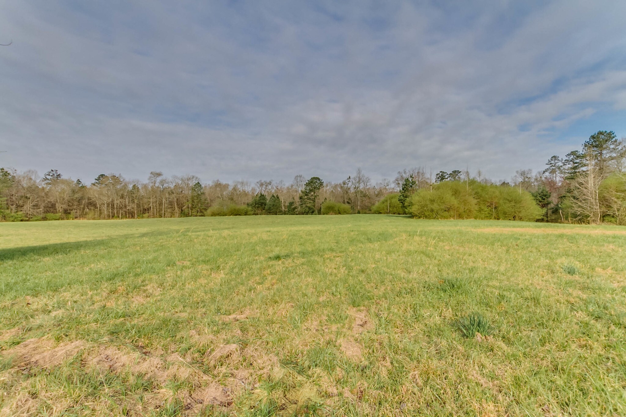 0 Tingle Tangle Rd, Vance, AL for sale Other- Image 1 of 1