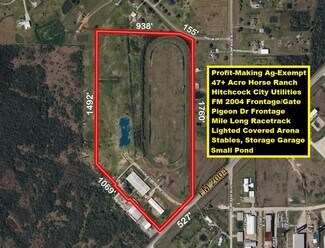 More details for 7602 FM 2004 Rd, Hitchcock, TX - Land for Sale