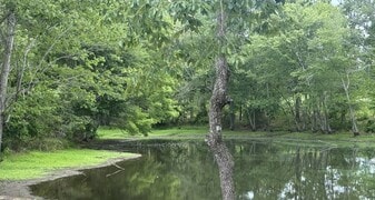 Mays Crossroads Rd, Youngsville NC - Land