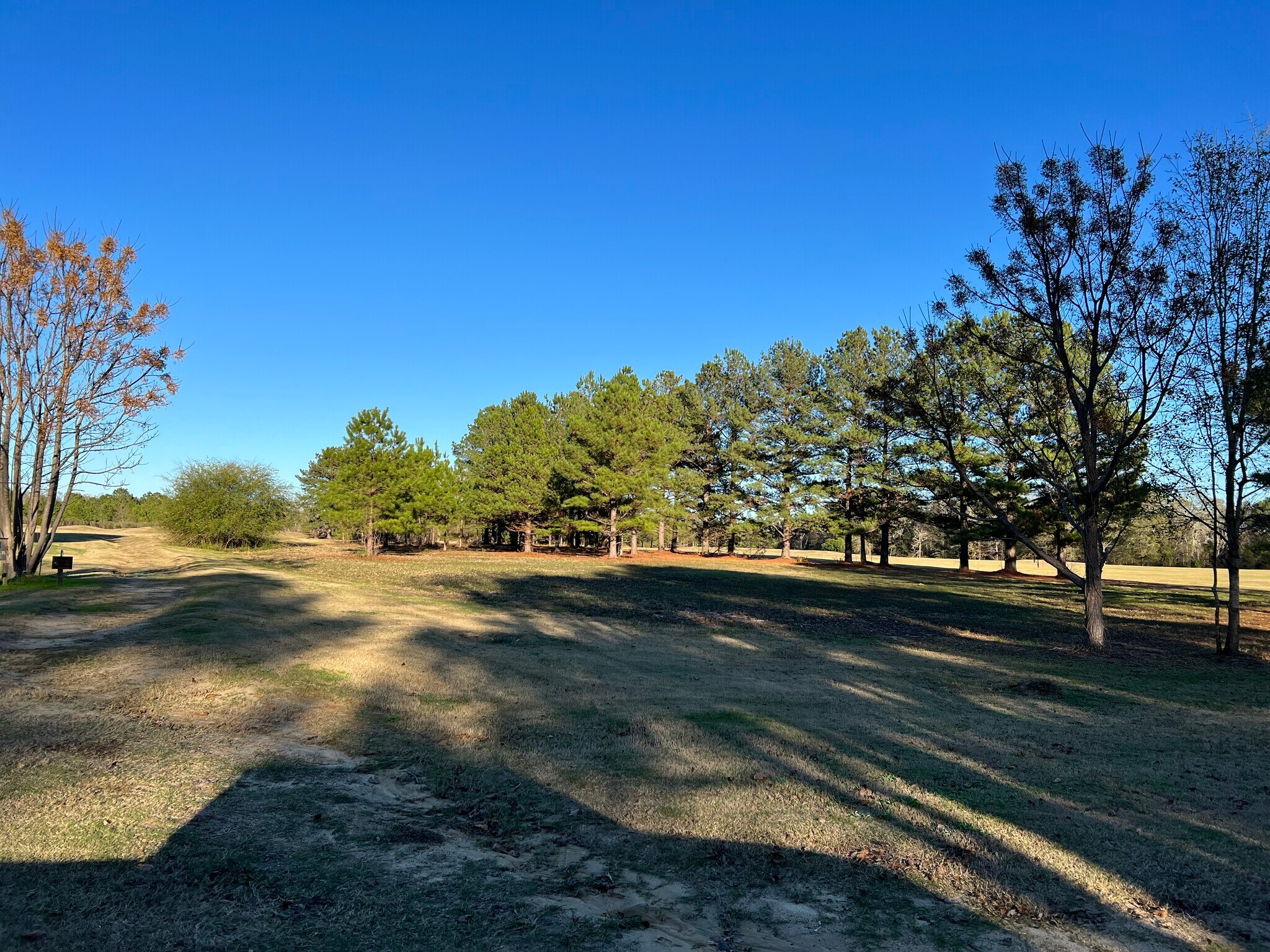 Mac Thompson Road, Cochran, GA 31014 Land for Sale