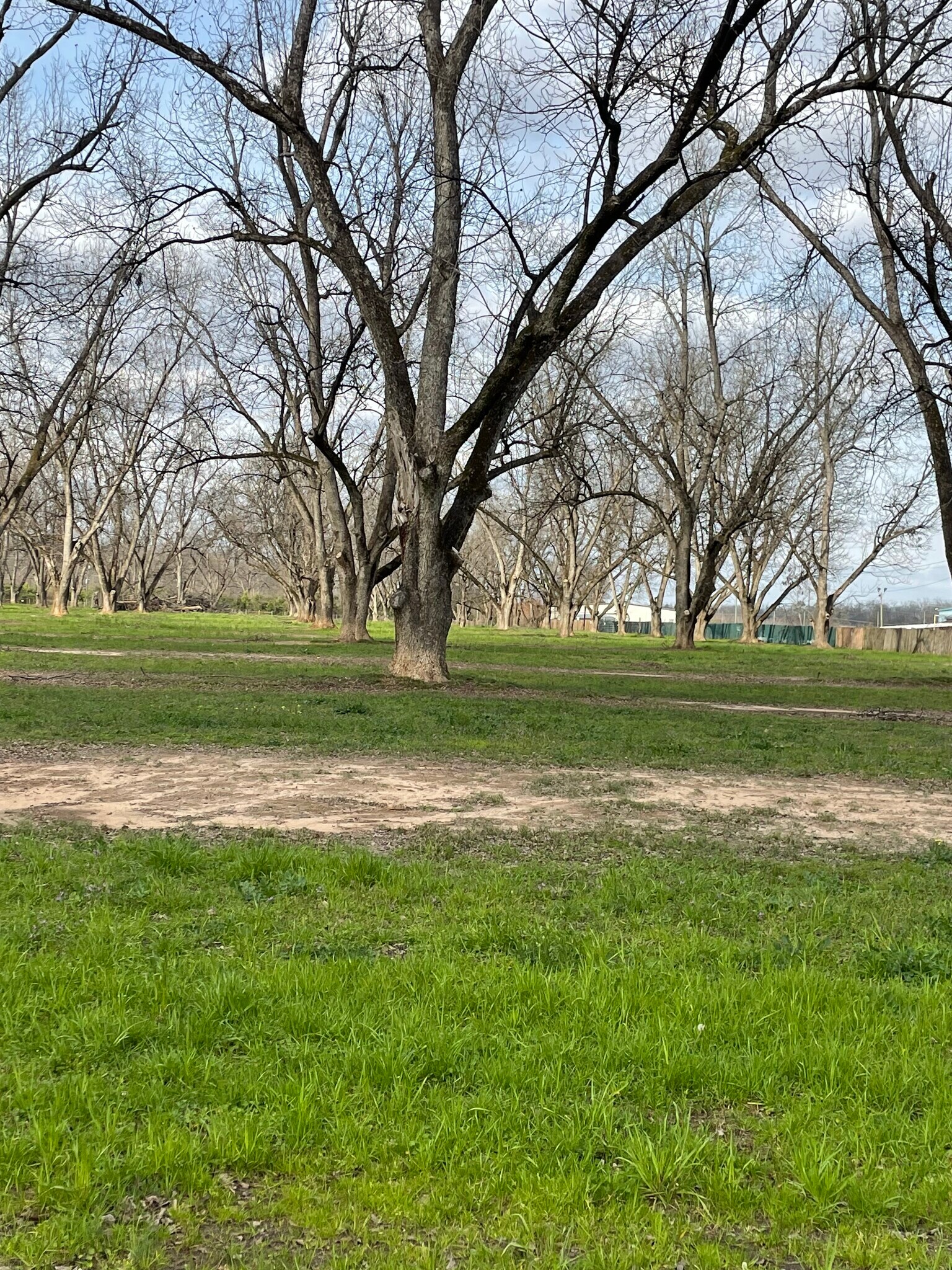 00 Dunbar Rd, Byron, GA 31008 Land for Sale