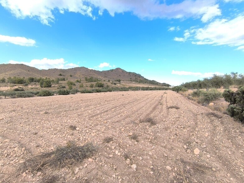 Land in MURCIA for sale - Building Photo - Image 1 of 4