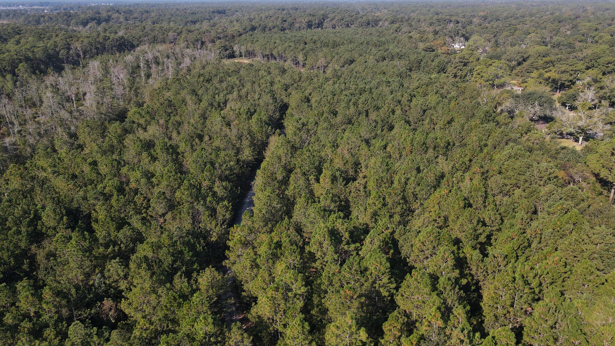 4003 Dauphin Island Pky, Mobile, AL for sale Primary Photo- Image 1 of 1