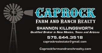 Shannon Killingsworth