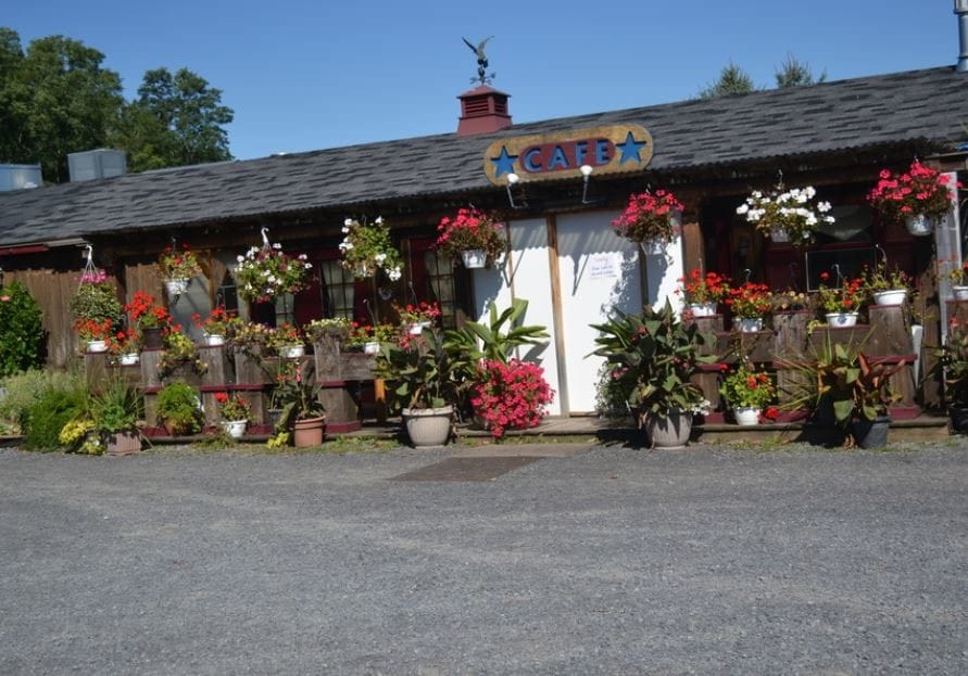 4367 E Covert Rd, Interlaken, NY 14847 Specialty for Sale