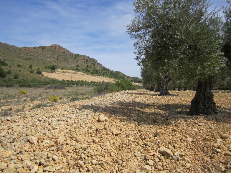 Land in MURCIA for sale - Building Photo - Image 3 of 4
