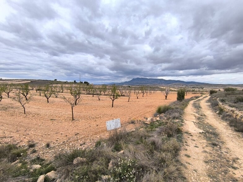 Land in Yecla for sale - Building Photo - Image 1 of 3