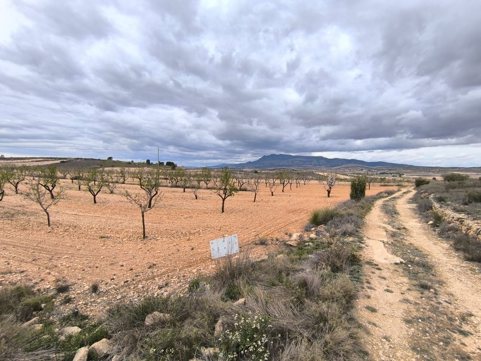 Land in Yecla for sale Building Photo- Image 1 of 4