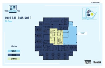 1919-1921 Gallows Rd, Vienna, VA for lease Floor Plan- Image 1 of 1