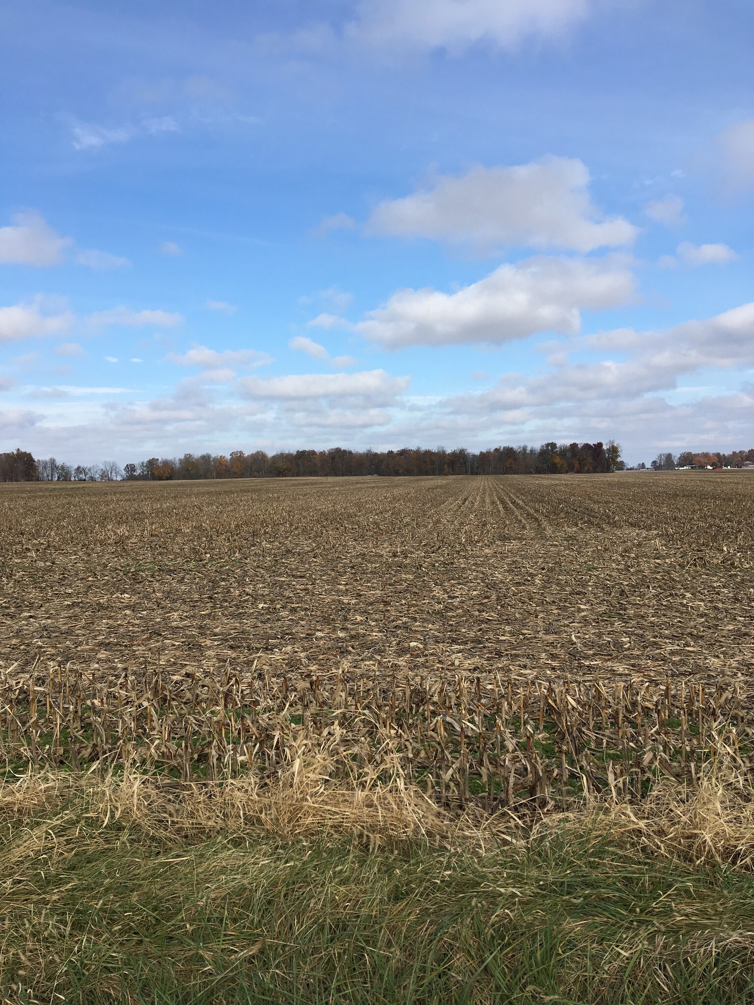 Otterbein-Ithaca Rd, Arcanum, OH for sale Other- Image 1 of 1