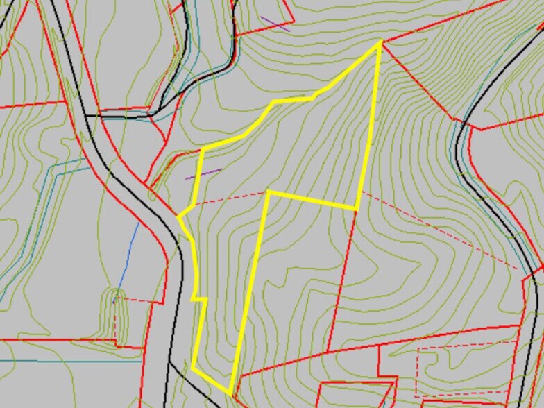 99999 Buckeye Cove Rd, Canton, NC 28716 Land for Sale