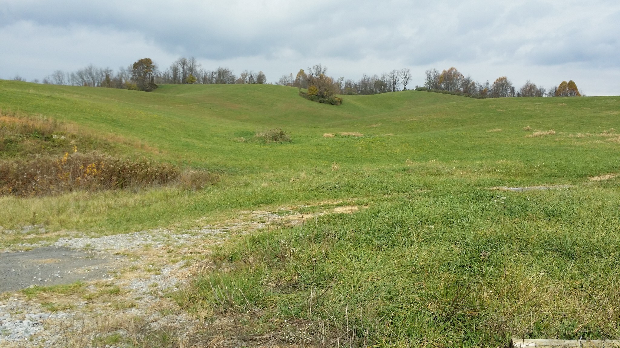 Hwy 107 181, Chilhowie, VA 24319 Land for Sale