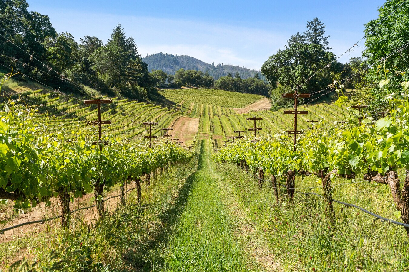 Redwood Road, Napa, CA 94558