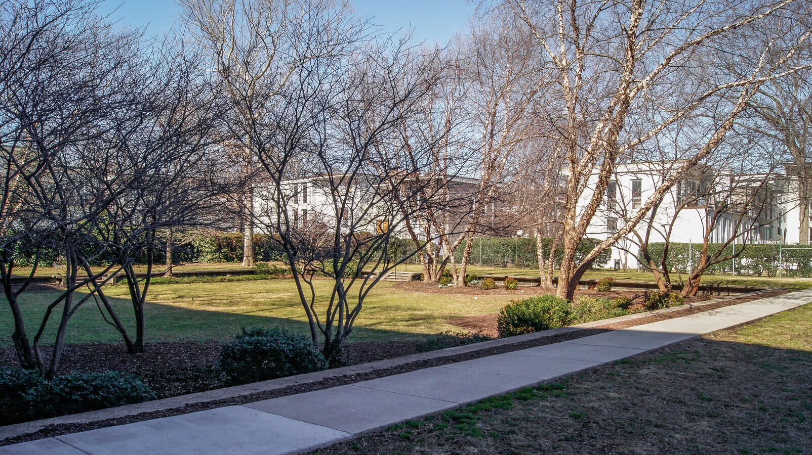 View Photo