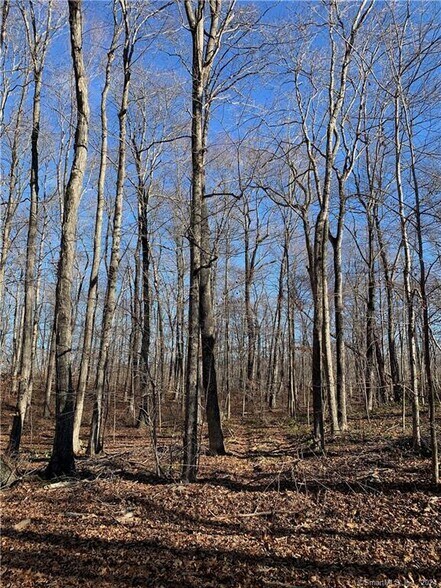 Lot 4 Killingworth Turnpike, Clinton, CT for sale - Primary Photo - Image 1 of 2