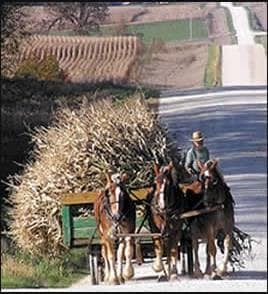 More details for 525 Main Ave N, Harmony, MN - Hospitality for Sale