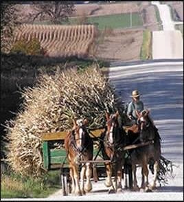 525 Main Ave N, Harmony, MN for sale Other- Image 1 of 12